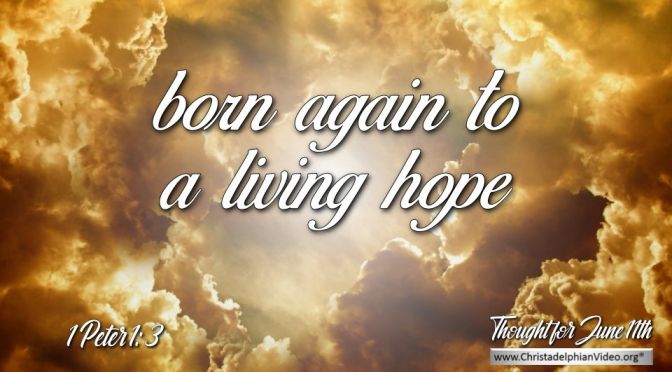 Daily Readings & Thought for June 11th. "BORN AGAIN TO A LIVING HOPE"