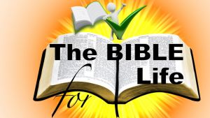 The Bible:  Our Manual for Life - Video post