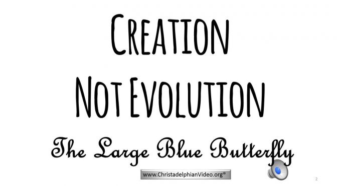 Proof Of Creation: 'The Large Blue Butterfly'