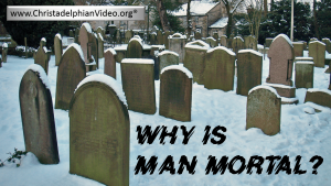 Why Is Man Mortal? Video Post