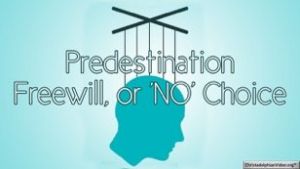 Predestination Freewill, or 'NO' Choice
