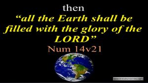 2020 Review! 'All the Earth shall be filled with the glory of the LORD: (Num 14:21)