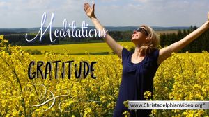 Stop & Think : Meditations- Gratitude