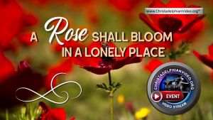 A Rose shall Bloom in a Lonely Place