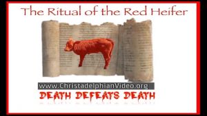 The Ritual of the Red Heifer: Death Defeats Itself