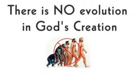 Creation not Evolution Articles by Brother James McCann