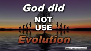 God did 'NOT' use Evolution