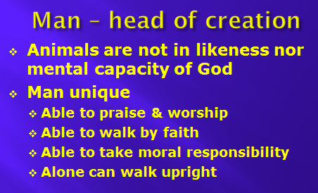 Part 26: CREATION – A CLOSER LOOK AT GENESIS –Let us make man in our image, after our likeness– Don Pearce