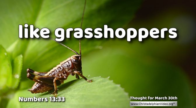 Daily Readings & Thought for March 30th. “LIKE GRASSHOPPERS”     