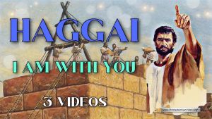 Haggai: I am with you - 3 Videos