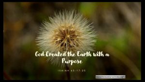 God Created with a Purpose - To fill it with his Glory.