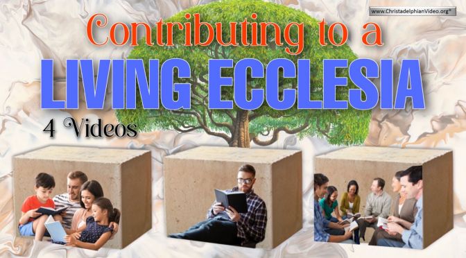 Contributing to a Living Ecclesia: 4 Videos