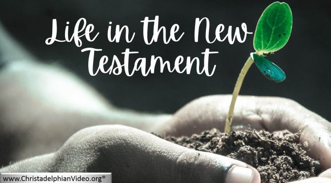 Life in the New Testament World - 2 Videos