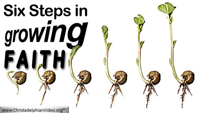 6 Steps to Growing Faith