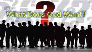 What does God Want - What does the Bible reveal?