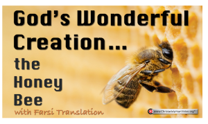 God's Wonderful creation - The Honey Bee: With Farsi translation