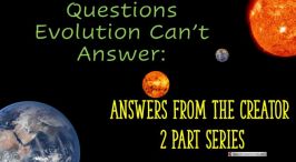 Questions Evolution Cannot Answer 2- Videos