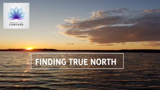 Pause to consider: Finding True North