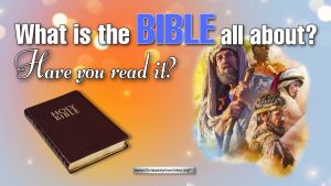 What is the Bible All About? Have you read it?