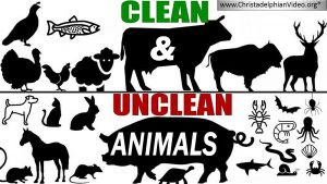 Clean and Unclean Animals
