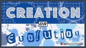 Creation(God) or Evolution(Darwin)? - A stark, but simple Choice!