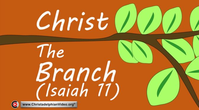 Christ: The Branch -Isaiah 11 - (Mark Johnson)