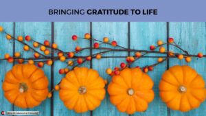 Pause to Consider: Bringing Gratitude to Life