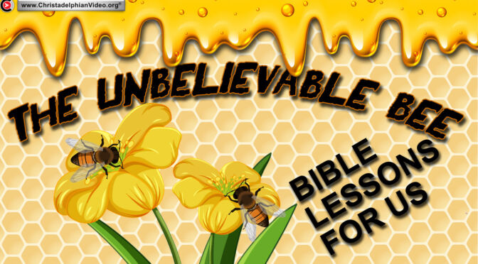The Un-Believable Bee;  Lessons from the Bible for us!