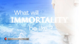 What will Immortality be like?