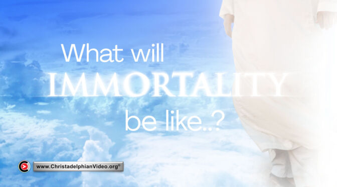 What will Immortality be like?