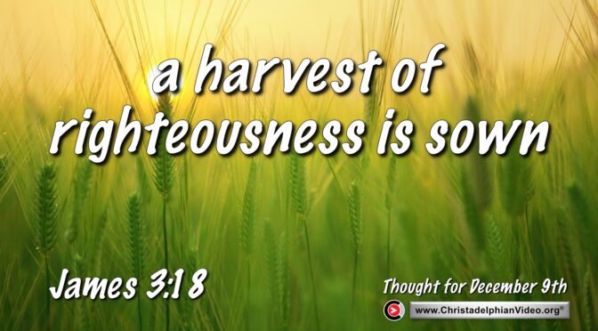 Daily Readings and Thought for December 9th. “A HARVEST OF RIGHTEOUSNESS IS SOWN”