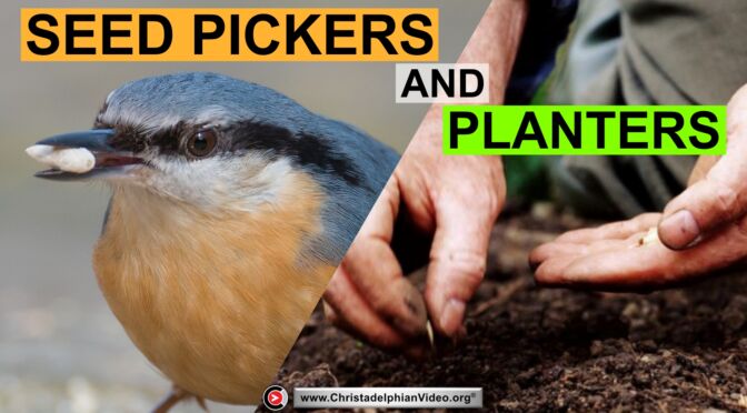 Seed Pickers and planters